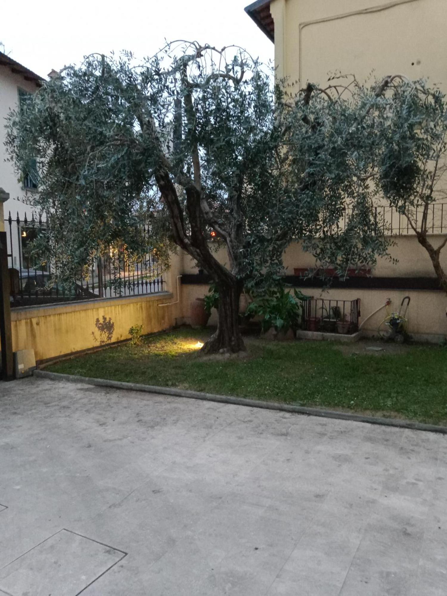Bercos Deluxe Apartment Prato  Exterior photo
